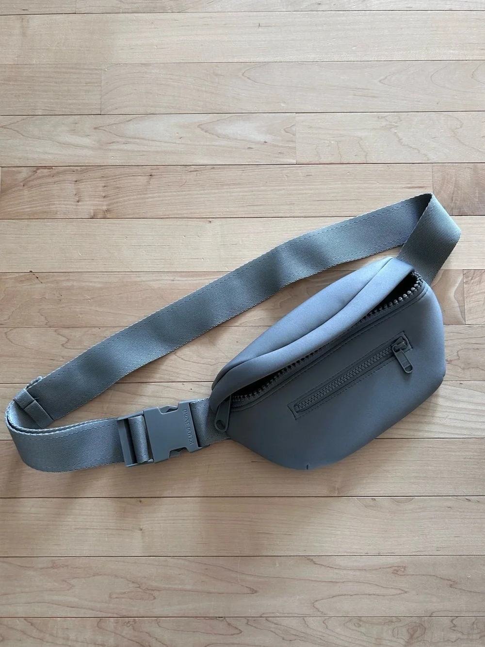Dagne Dover Ace Fanny Pack in Sage - Picture 1 of 3